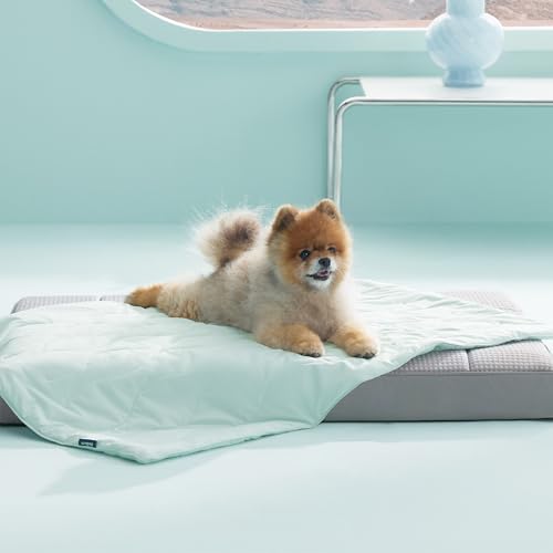 Bedsure ArcticMax™ Q-MAX>0.5 Premium Cooling Blanket for Small Dog，25x35” | Breathable Summer Washable Throw, Dog Blanket Cooling Mat Pad, Soft Durable Cold Self Cooling Pet Mat for Hot Weather，Green - color: Turquoise Green, size: S(25x35")