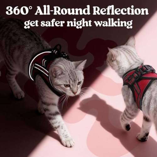 rabbitgoo Cat Harness and Leash Set, Step-in Soft Vest, Red | Escape Proof, Lightweight, Easy-on & Adjustable, Hook & Loop with Buckle, Reflective, for Kittens & Small Cats Walks, S - color: Red, size: S