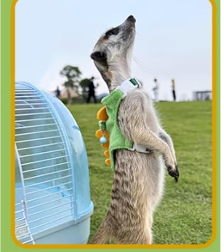 Ferret Harness and Leash Set Small Animals Vest Harness with Safe bell Dinosaur Shaped Walking clothes for Baby Rabbit Guinea pig Teacup Chihuahua Mouse and other small pet (Green) - color: Green