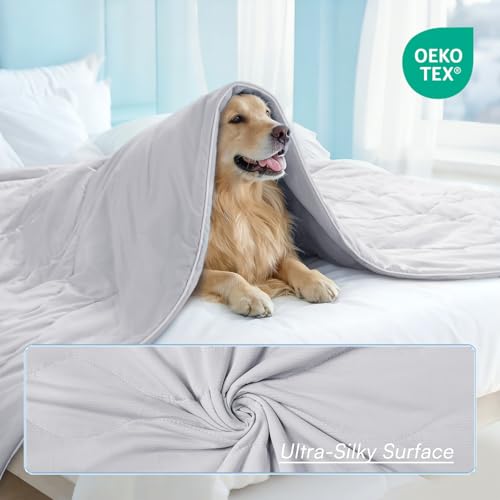 Luciphia Cooling Dog Blanket, Q-MAX>0.5 Pet Throw for Couch, Crate & Bed | Cools on contact—no power needed. Soft, breathable, gentle on sensitive skin; dog & cat cooling throw, Light Grey,40x60 - color: Light Grey, size: 40x60 inches