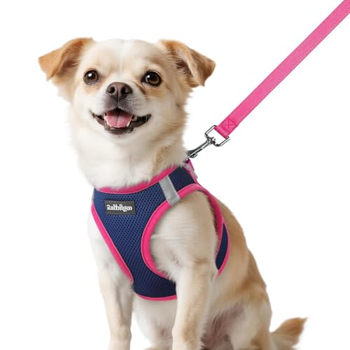 rabbitgoo Dog Harness Small Sized and Leash Set, Step in Soft Vest | Breathable Mesh, Easy Wear with Hook & Loop, Light and Reflective for Walking, Multi-colored, Navy Blue & Rose Red, XXS - color: Navy Blue & Rose Red, size: XXS (Chest: 12.4"-14.2")