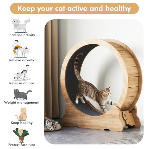 Mondeer 38'' Cat Wheel with Carpet Track and Teaser, Natural Wood | Cat Exercise Wheel, 38'' Treadmill with Carpeted Runway, Removable Carpet and Teaser, for Indoor Cats Running and Walking. - color: Natural Wood, size: 38