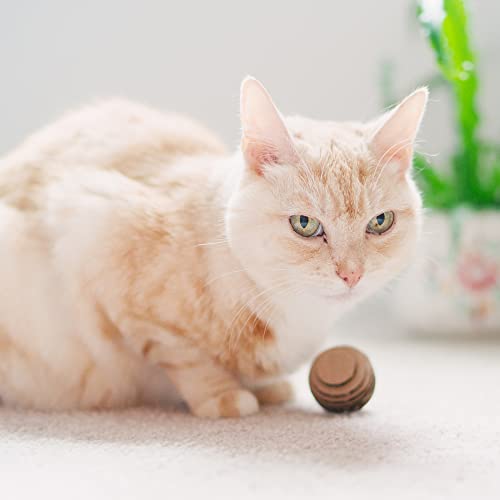 Cat Ball Toys by Americat – Made in USA – Safe Cardboard Cat Toys – for Interactive and Independent Play, Exercise & Stress Relief for All Breeds & Ages (Pack of 3 Round Balls) - style: Round Ball Pack
