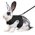 Black Bunny Harness and Leash Set Ferret Harness Rabbit Vest, M | Quick-release, Breathable, Escape Proof, Suit For 2-3months Young Rabbit, 2-4months Ferret, 3-5months Guinea Pig - color: Black, size: M
