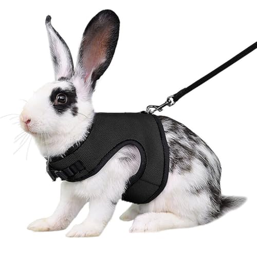 Black Bunny Harness and Leash Set Ferret Harness Rabbit Vest, M | Quick-release, Breathable, Escape Proof, Suit For 2-3months Young Rabbit, 2-4months Ferret, 3-5months Guinea Pig - color: Black, size: M