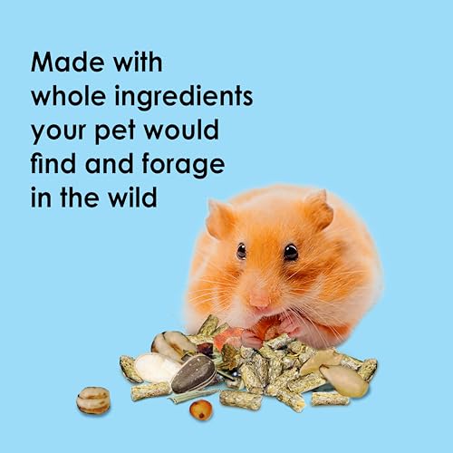 Kaytee Food from The Wild Natural Pet Hamster Food, 2 Pound - size: 2 Pound (Pack of 1)