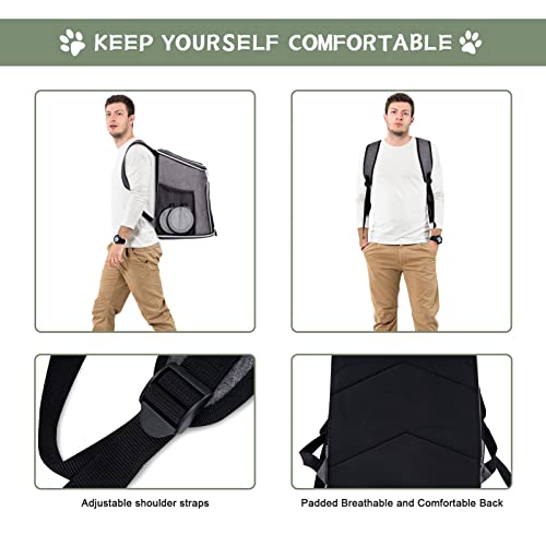 BAGLHER Cat Backpack Carrier, Mesh Pet Cat Carrier for Medium Small Dog Cat Puppy Kitten Bunny up to 18lbs, Dog Travel Backpack for Picnic Hiking Walking Cycling,Grey - color: Grey, size: Non-Expandable