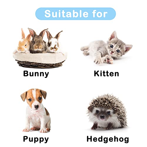 DIY Cat Cage,Pet Playpen Indoor, Detachable Metal Wire Small Animal Cages, 2-Tier Crate Large Exercise Place, Kitten Enclosures with 2 Door, 29.5 x 15.3 x 28.7 Inch, Black