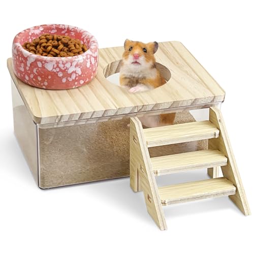 kathson Hamster Sand Bath Box Transparent Acrylic Small Syrian Hamster Shower Bathtub Small Gerbil Digging Sand Container with Climbing Ladder and Ceramic Bowl Cage Accessories for Lemmings Mice