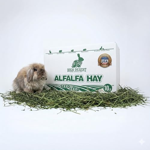 High Desert Alfalfa Hay for Young Rabbits and Guinea Pigs, 10 lb Box | Protein Rich Soft Leaf Forage, Ideal For Growing Kits And Nursing Mothers, Great Calcium Source, Hand Packed, Low Dust - size: 10 Pound (Pack of 1)