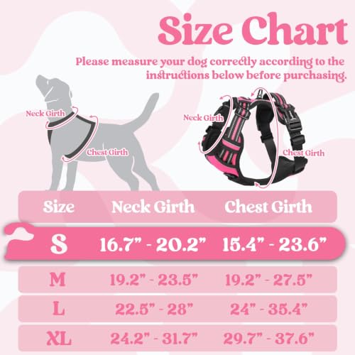 rabbitgoo Dog Harness Small Sized, Updated Easy On & Off with 3 Buckles | No Pull No Choke, Walking with 2 Clips and Handle, Adjustable Soft Reflective, Rose Pink, Small - color: Rose Pink, size: Small