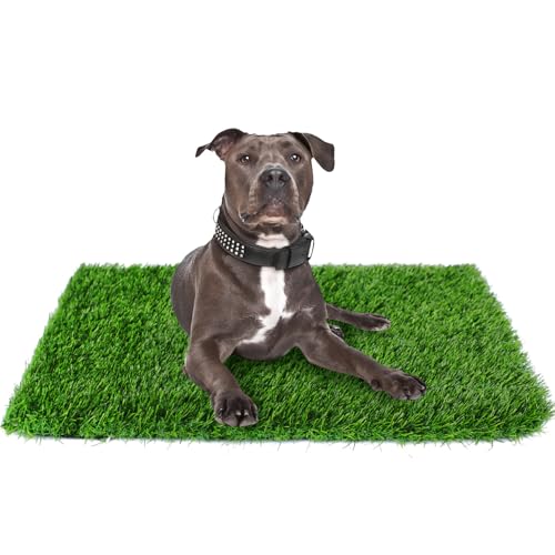GLOBREEN Artificial Grass for Dogs to Pee on, 39.4" x 31.5" Puppy Turf Potty Training Tray, Thick & High Drainage Pets Fake Grass - size: 39.4x31.5 Inch