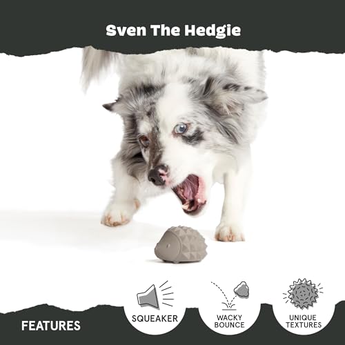 BarkBox Sven The Hedgie Super Chewer Dog Toy - Large | Natural Rubber, Wacky Bounce & Rippled Texture | Durable Dog Toy for Aggressive Chewers, Medium to Dogs - color: Sven the Hedgie - Large