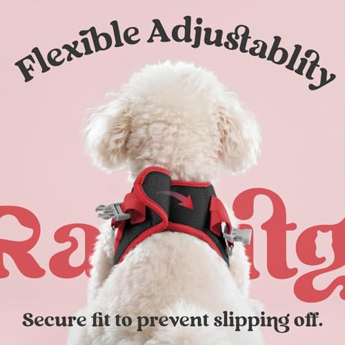 rabbitgoo Dog Harness Small Sized and Leash Set, Step in Soft Vest | Breathable Mesh, Easy Wear with Hook & Loop, Light and Reflective for Walking, Multi-colored, Black & Red, XXS - color: Black & Red, size: XXS (Chest: 12.4"-14.2")