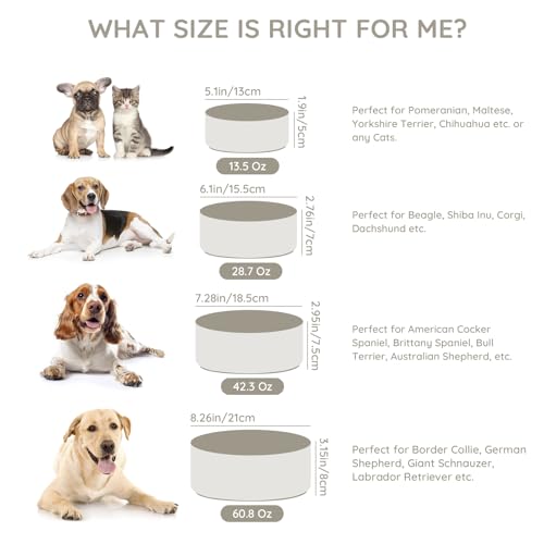 SPUNKYJUNKY 13.5OZ Ceramic Dog and Cat Bowl, Modern Cute Weighted Food Water Bowl for Replacement Grey (2 Pack) - color: Grey, size: 1.7 CUPS × 2