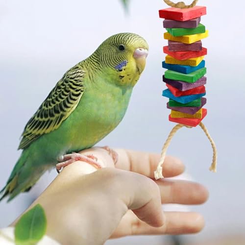 50 Pcs (Mixed Colo) Wood Blocks Bird Parrot Chewing Toys Natural Bird Toys Large Parrot Toys DIY core Accessories for Parrot Playing and Chewing Toys