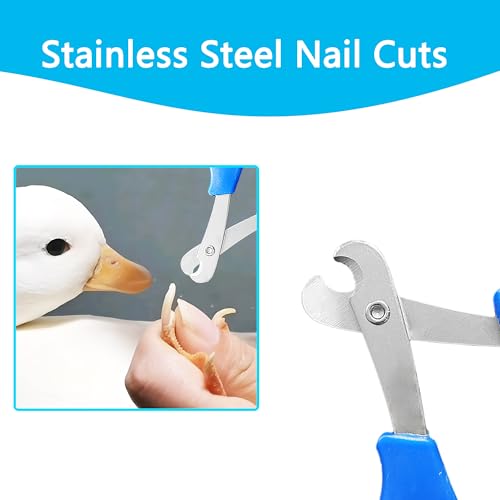 Call Duck Nail Clippers with Nail File，Stainless Steel Call Duck Chicken Hen Roster Goose Toe Nail Clippers Professional Grooming Pet Tool for Small Breed Animals