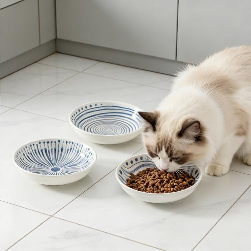 3 Ceramic Cat Bowls,5.5 inch Wide Shallow Cat Food Bowl for Relief Whisker Fatigue B Style - color: Blue-B