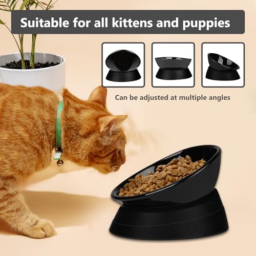 French Bulldog Food Bowl- Slanted Tilted Pug Food Water Bowl,Cat Bowl- Feeder for Frenchie/Shih Tzu/Flat Faced Small Dogs/Puppies/Cats (Black（Ceramic）, 2 Cup) - color: Black Bowl（Ceramic）, size: 2 Cup