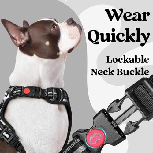 rabbitgoo Dog Harness Small Sized, Updated Easy On & Off with 3 Buckles | No Pull No Choke, Walking with 2 Clips and Handle, Adjustable Soft Reflective, Mountain Black, Small - color: Mountain Black, size: Small