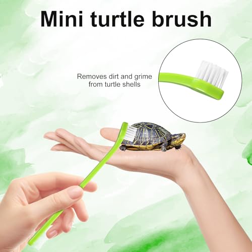2pcs Turtle Brush, Turtle Shell Brush with Suction Cup Turtle Shell Scratcher Tortoise Shell Cleaning Brushes Turtle Exfoliate Brush Turtle Scrub Brush Aquatic Tortoise Tank Supplies