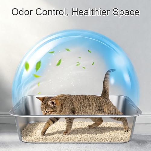 Stainless Steel High Sided Cat Litter Box | Sturdy Metal, Odor-free, Cat Litter Non-stick and Easy to Clean, Ideal for Indoor Cats, Kittens and Multicat Houses - size: 16.93"L x 12.99"W x 5.12"H