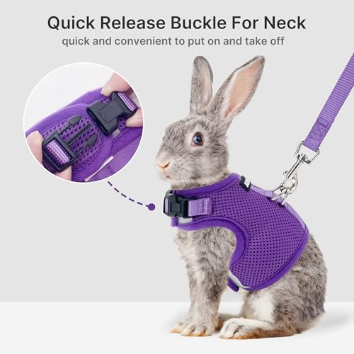 Breathable Escape Proof Rabbit Harness and Leash Set, Purple L | Lightweight & Portable, Padded Vest with Magic Tape Design, Indoor/Outdoor Use (Training, Hiking) - Fits Hamsters, Cats - color: Purple, size: L