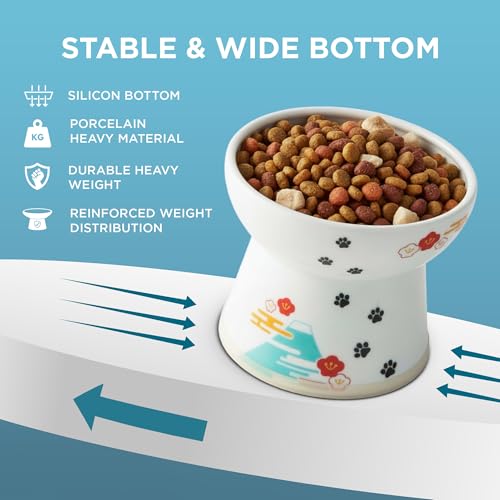 Necoichi Ceramic Raised Cat Food Bowl, Whisker-Friendly (Fuji, Large Flat) - color: Fuji, size: Large