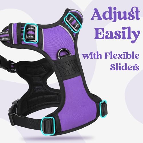 rabbitgoo Dog Harness Small Sized, Updated Easy On & Off with 3 Buckles | No Pull No Choke, Walking with 2 Clips and Handle, Adjustable Soft Reflective, Purple, Small - color: Purple, size: Small