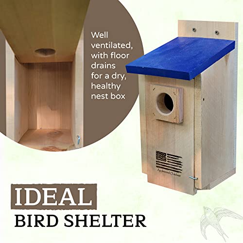 Made in USA,Rustic Cedar Bird Houses with Optional Camera (No Camera)