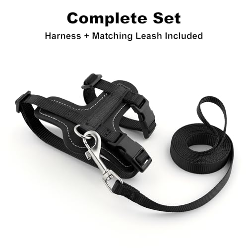 Plutus Pet Adjustable Cat Harness and Leash Set, with Leather Trim | Quick Release, Escape Proof Nylon Vest, for Kitten Small Medium Large Cats, Black - color: Black