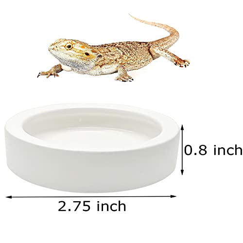 3 Pcs Reptile Food Bowl, Ceramic Water Feeder Bowl for Lizard Anoles Bearded Dragons Crested Gecko Hermit Crabs Triangular | Mini Reptile Feeder Reptile Food Bowls Bearded Dragon Bowl