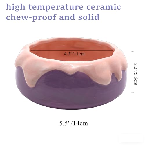 M2cbridge Ceramic Pudding Hamster Food Bowl Feeding Dish Water Bow for Guinea Pig Hedgehog Small Animal(Purple) - color: Purple