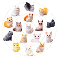 16Pcs Mini Resin Cat Figurines For Desk Decor Fairy Garden Cake Topper | Hand-Painted 1In Figurines In 16 Unique Breeds. Ideal For Desk Pet, Cake Toppers & Home Decor. Great Gift For Cat Lovers