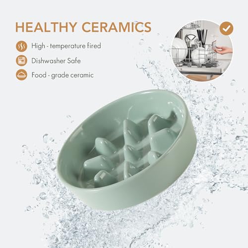 Havniva Elevated Slow Feeder Dog Bowls, Ceramic Dog Bowl Slow Feeder Set | 1.2 Cups Raised Slow Feeder Dog Bowl for Small Breed, 6.1” Dog Water Bowl with Wooden Stand, Puzzle Dog Food Bowl, Non-slip - color: Light Green