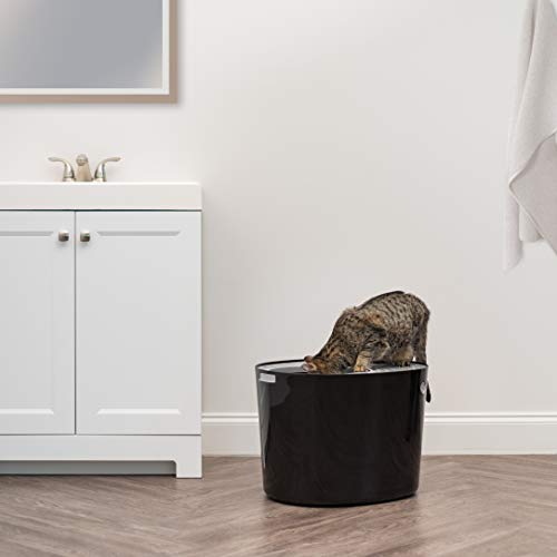 IRIS USA Large Top Entry Cat Litter Box, Hooded Privacy, Black/Gray | Dog-Free Zone, Mess Containment System, Protected Interior, Secure Lid Access, Reduced Tracking, Odor Trapping - color: Black, style: Top Entry