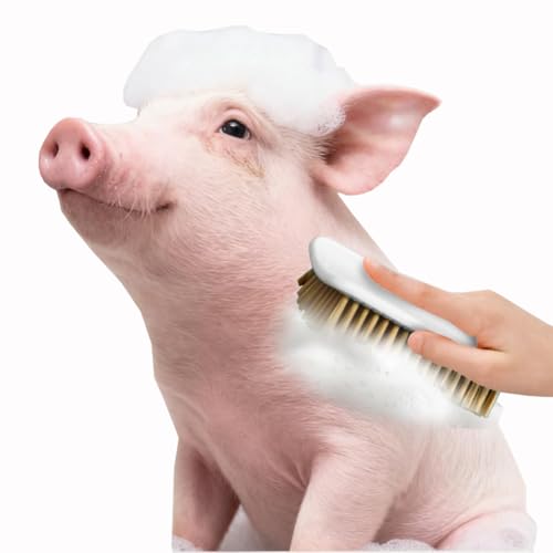 2PCS Anti-slip Pet Grooming Shedding Brush Cleaning Slicker Brushes with Dual Hanging Holes for Pens