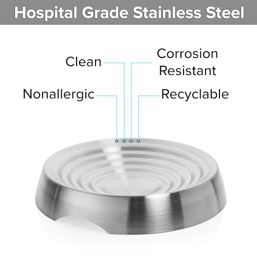 CatGuru Cat Bowls, Whisker Friendly Food Bowl for Indoor Cats, Reliefs Whisker Fatigue, Wide Kitten Dish, Non Slip Pet Dishes, Shallow Pet Plates (Stainless Steel) - color: Stainless Steel, size: Dish