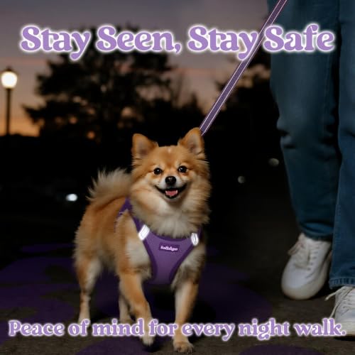 rabbitgoo Dog Harness Small Sized and Leash Set, Step in Soft Vest | Breathable Mesh, Easy Wear with Hook & Loop, Light and Reflective for Walking, Multi-colored, Light Purple & Purple, XXS - color: Light Purple & Purple, size: XXS (Chest: 12.4"-14.2")