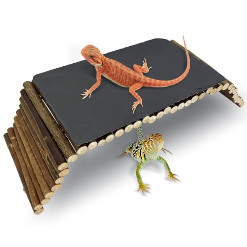 Reptile 19.7x5.9″Bendable Wooden Bridge with 5.9x9.8″Slate Rock Bearded Dragon Basking Platform Set Climbing Hideout Basking Terrace and Hide Cave for Lizard Flexible Gecko Habitat Decor - size: L: 19.7x5.9″ Wooden Bridge,5.9x9.8″Slate Rock