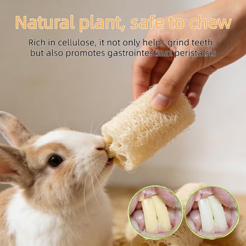 4Pcs Rabbit Chew Toys Loofah Guinea Pig Treats Bunny Enrichment Toys | Natural,with Rope,for Chinchillas Guinea Pig,Rabbit Toys for Bunnies Boredom,rabbit chew toys for teeth,bunny chew toys - size: 4PCS with a rope