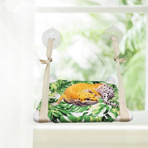 Bearded Dragon Window Perch, Lizard Window Hammock, Reptile Bed, Lizard Window Hammock, Reptile Tank Accessories, Suitable for Lizard Bearded Dragon Chameleon Kitten Guinea Pig Rat 12 × 11 Inches