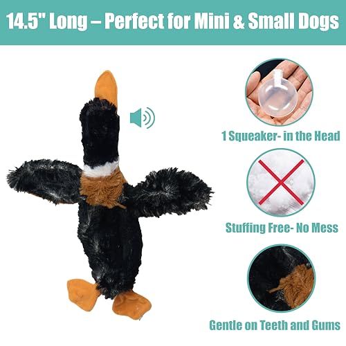SPOT Skinneeez Mini Mallard Duck 13 Inch Stuffing-Free Plush Squeaky Dog Toy – Soft Interactive Toy for Small and Medium Dogs – Mess-Free Play for Light & Moderate Chewers – Assorted Styles - style: Mini Mallard Duck