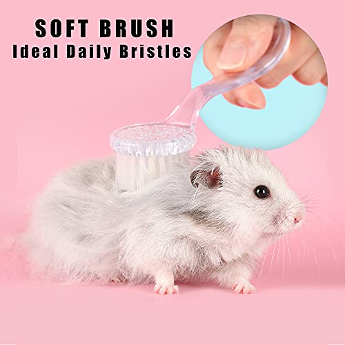 2 Pack Hamster Brush, Hedgehog Cleaning Supplies, Guinea Pig Combs - color: Transparent