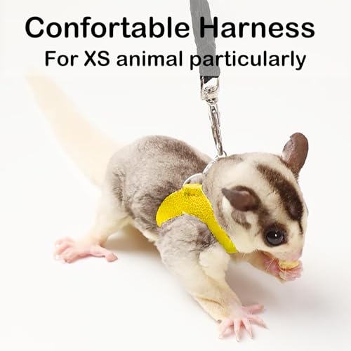 Meow&Woof 3 Pack Sugar Glider Harness and Leash Set Small Animal Training Walking Vest for Squirrel Hamster Rat Yellow - color: Yellow