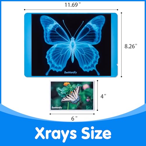 Insect Xrays – Bug Science Kit - Light Table Accessories | Bug Detectives for Kids, STEM Learning Insect X-Ray Set - style: Insect Series