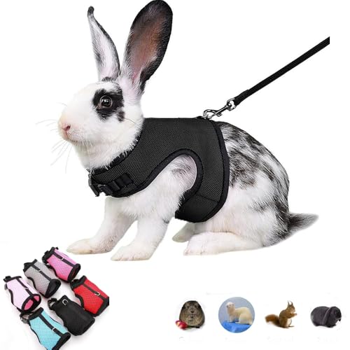 Rabbit Leash and Harness Escape Proof Bunny Harnesses Mesh Vest Black M | Soft Adjustable Buckle for Ferret Guinea Pig Hamster Squirrel Rat Walking Small Animal Pets - color: Black, size: M (Neck:5.5"-7" Chest:6.2"-8.5")