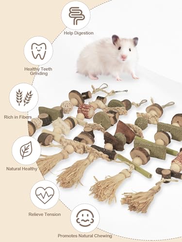 6PCS Hanging Bunny Chew Toys, Natural Apple Wood Rabbit Chews | Teeth Grinding & Dental Health, Small Animal Wooden Cage Toy for Guinea Pigs, Hamsters, Chinchillas, Ferrets, Rats, Gerbils