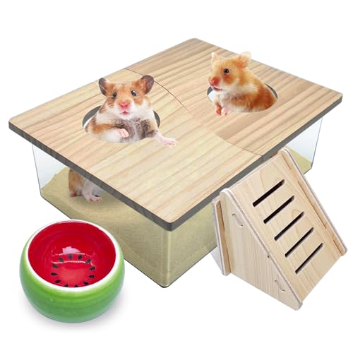 PINVNBY Hamster Sand Bath Box, Transparent Acrylic Shower, Gerbils Digging Room Container with Climbing Ladder and Ceramic Bowl, Litter Box for Hamsters Guinea Pigs Mice (Two Hole)