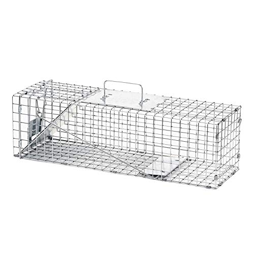 Havahart Medium 1-Door Live Animal Trap, Galvanized Steel Cage | Humane Catch and Release for Rabbit, Skunk, Mink, and Squirrel, Spring-Loaded Door, 1078SR
